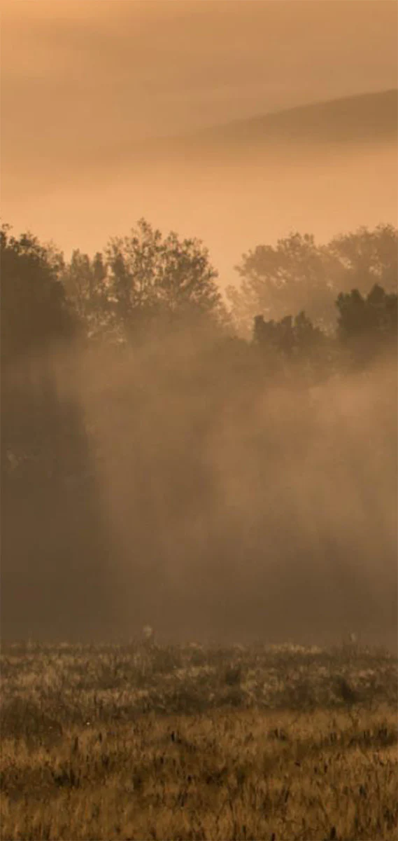 Autumn in Lhoka - Image 4
