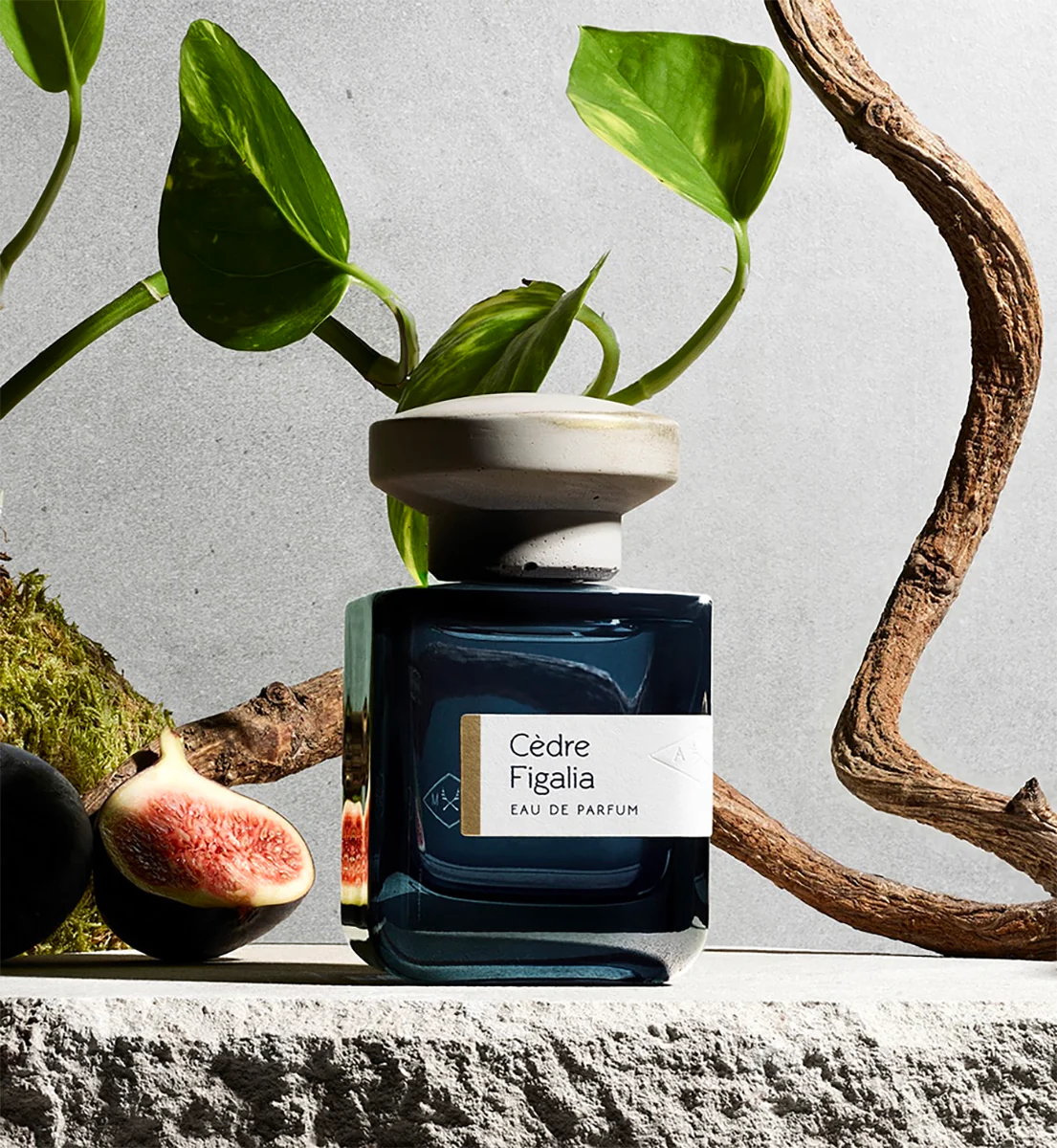 Cèdre Figalia - Image 4