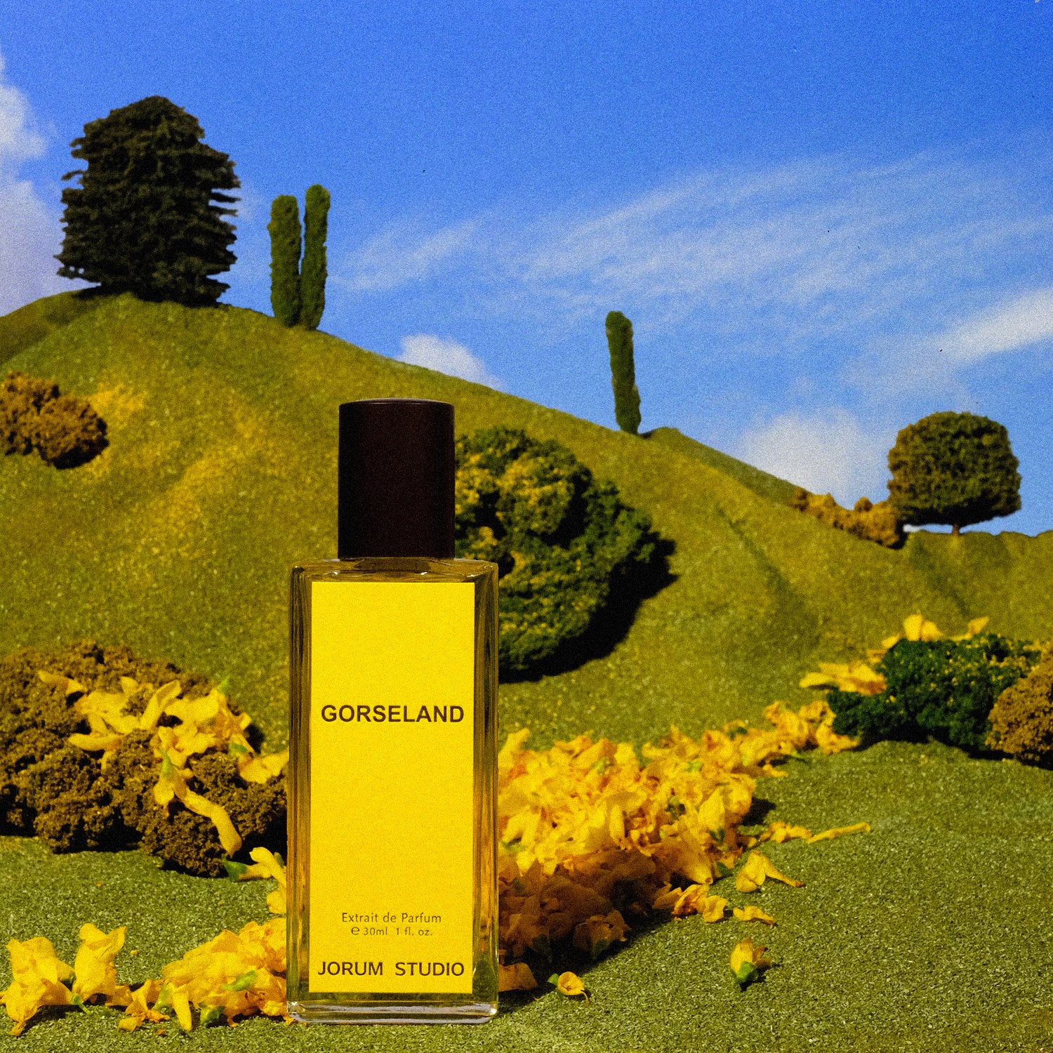Gorseland - Image 2