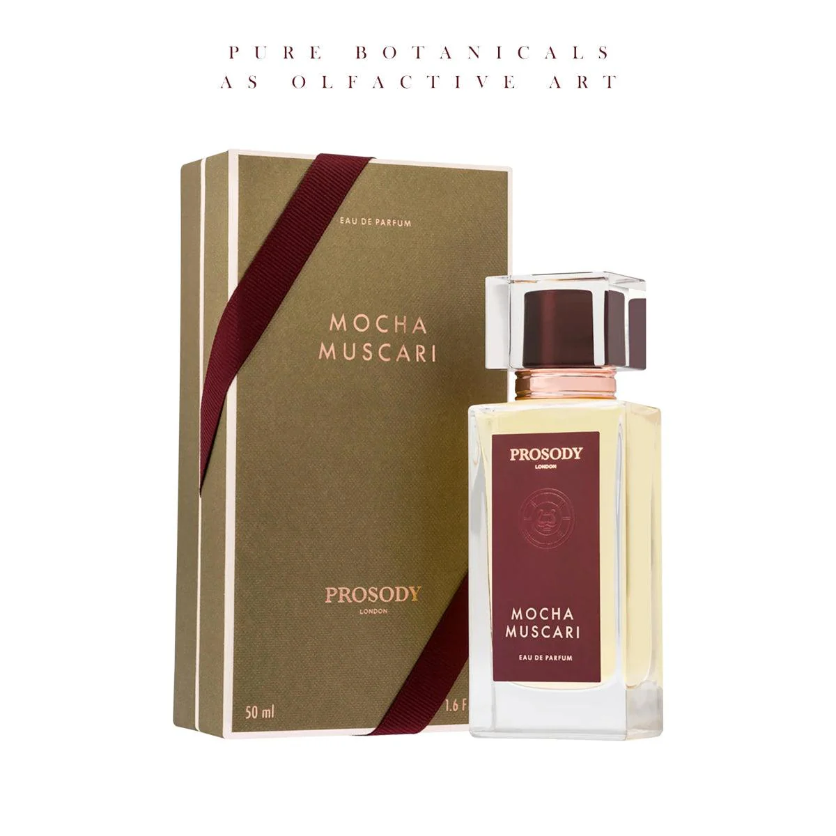 Mocha Muscari - Image 2