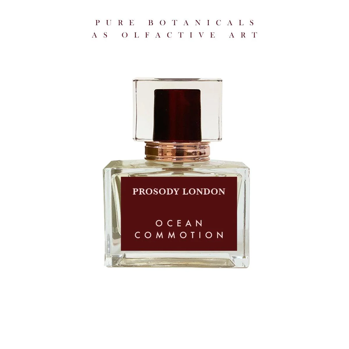 Ocean Commotion