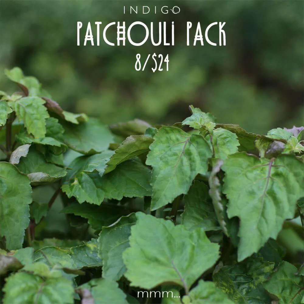 Patchouli Pack at Indigo