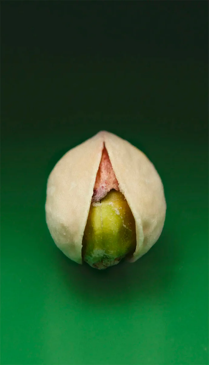 Pistachio - Image 3