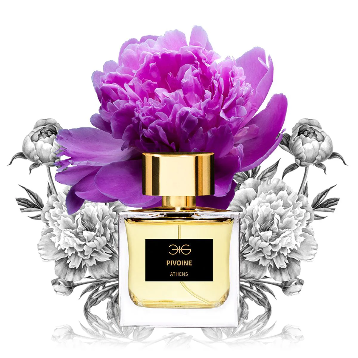 Pivoine - Image 2