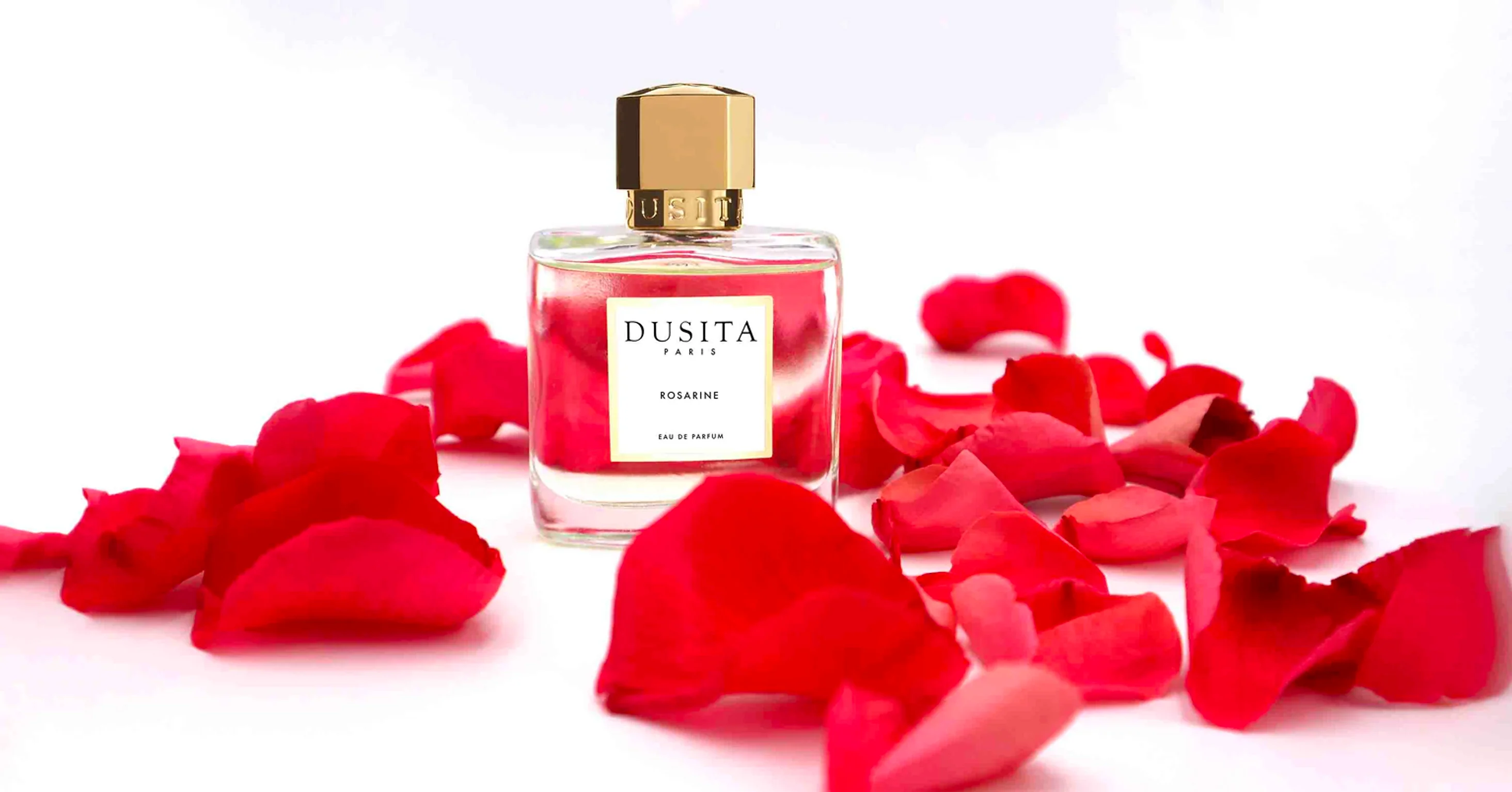 Rosarine - Image 4