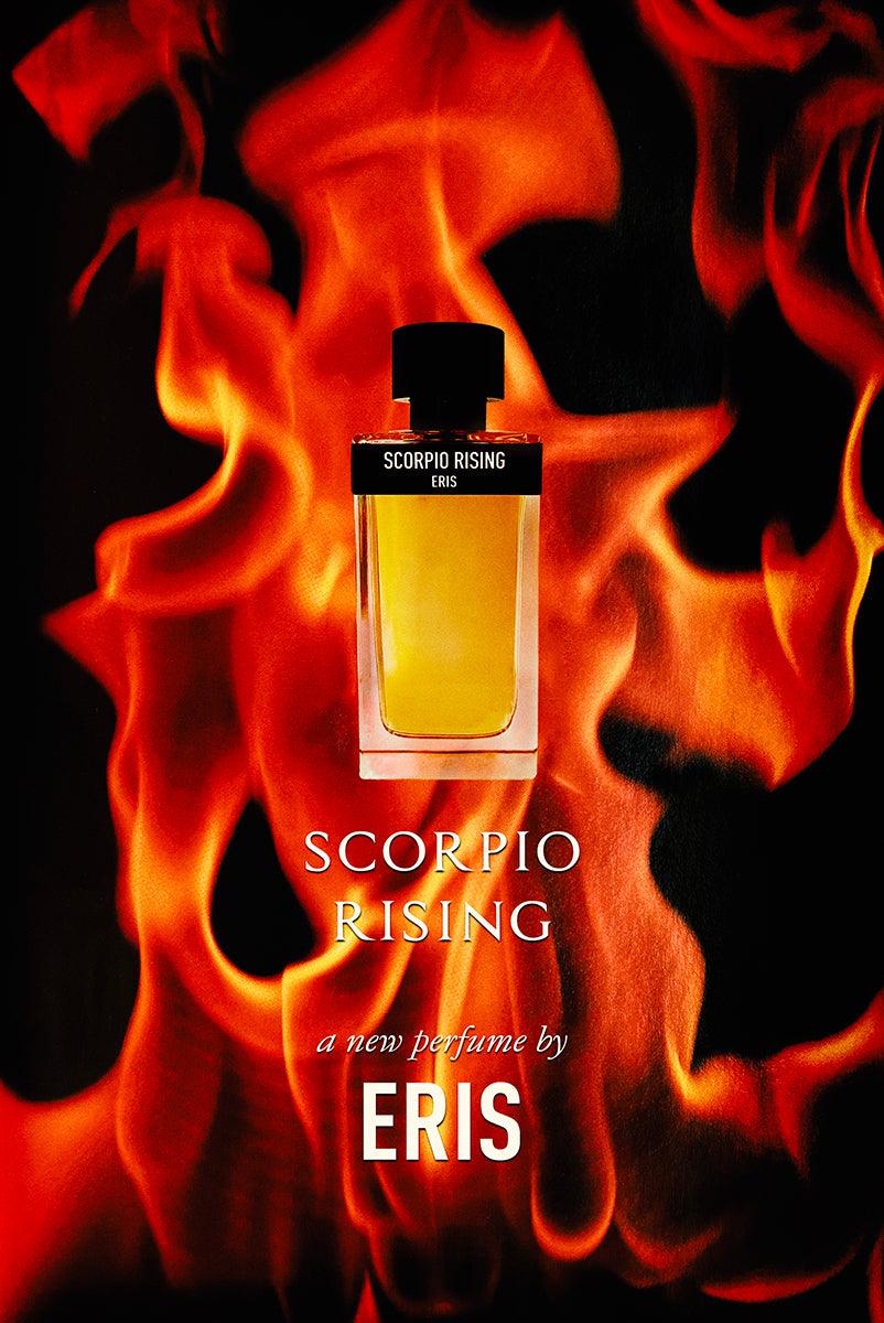 Scorpio Rising - Image 2
