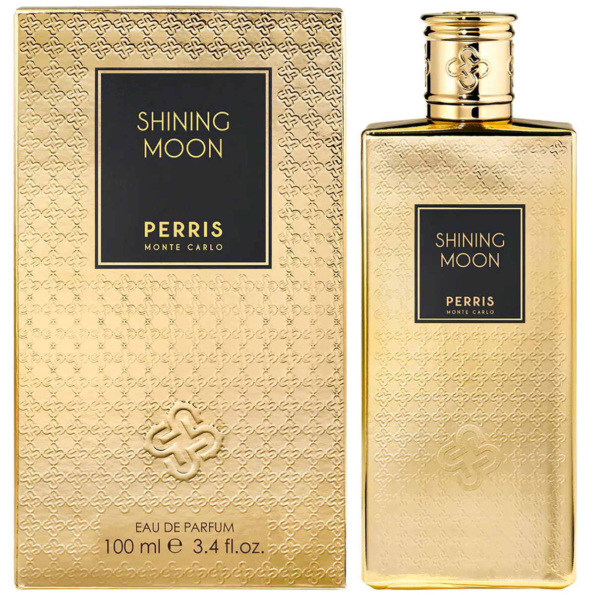 Shining Moon - Image 2