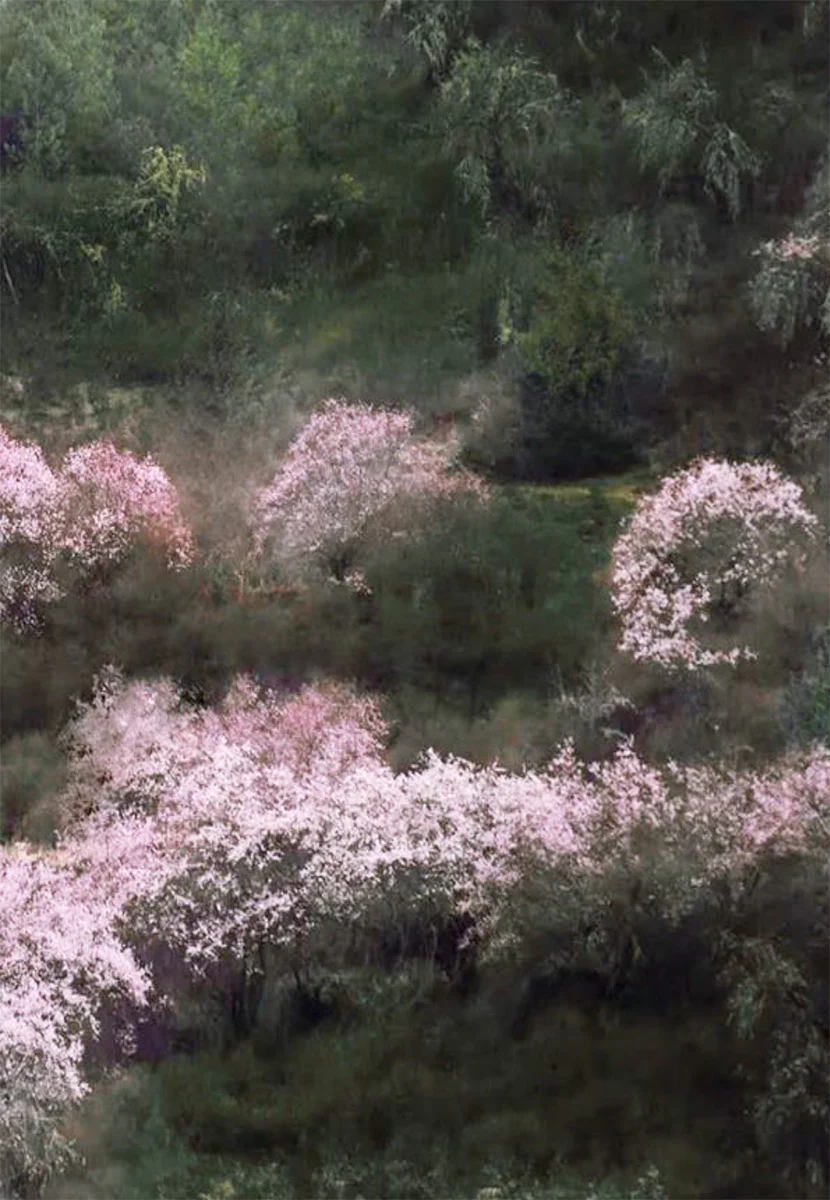Spring in Bome - Image 4