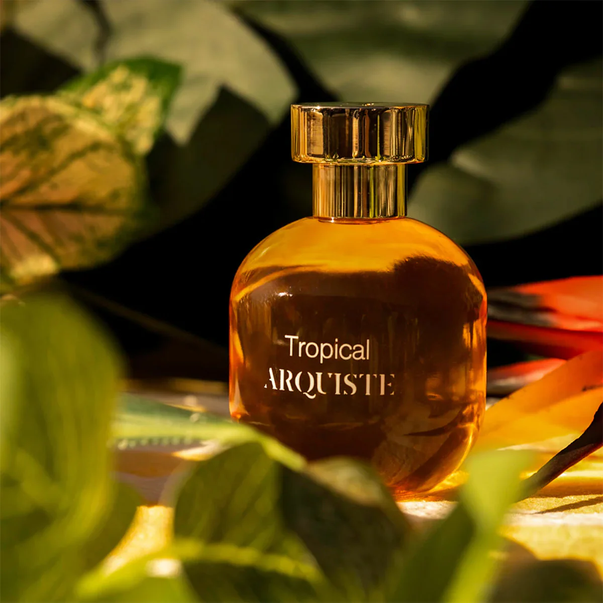 Tropical - Image 3