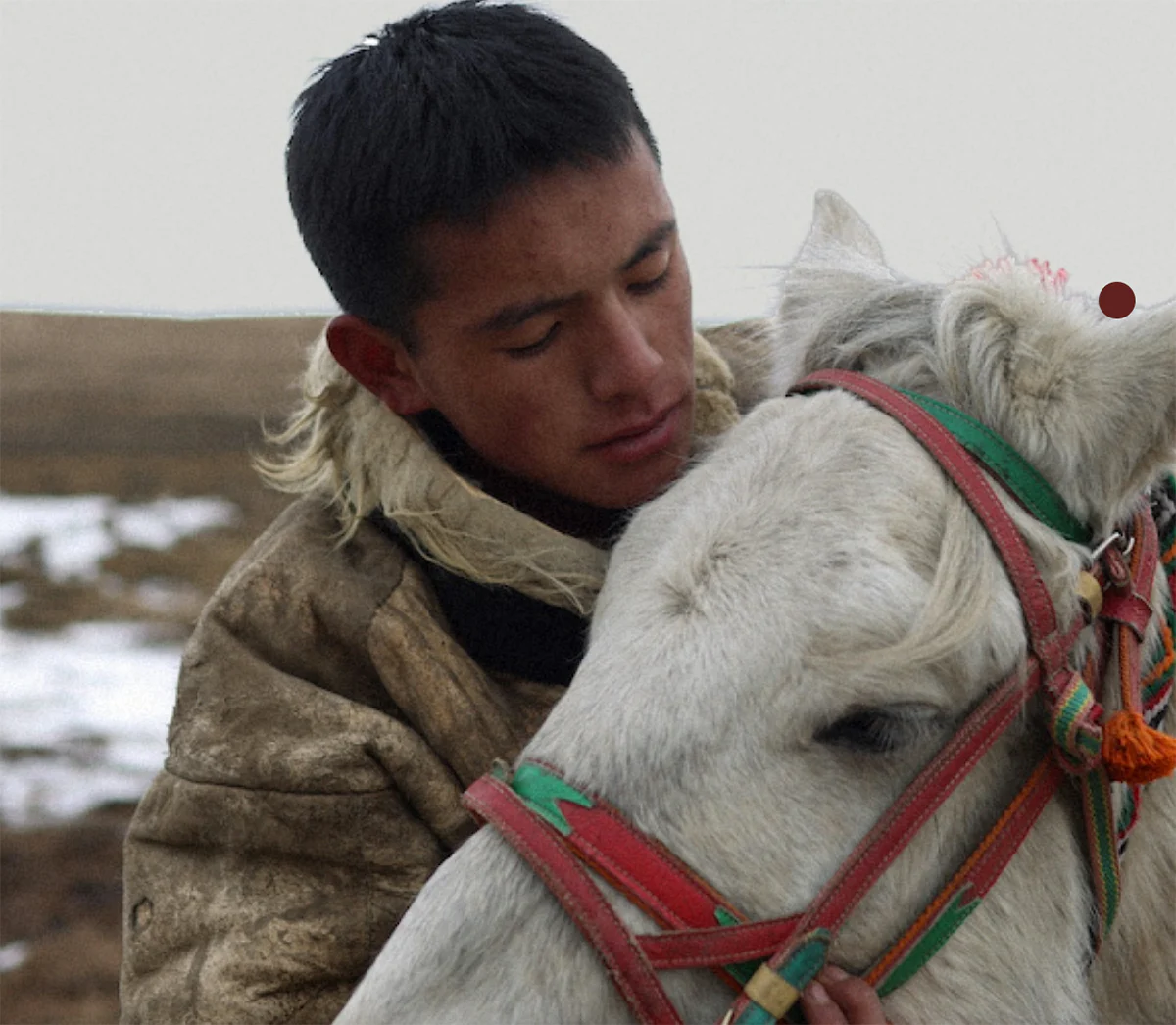 Winter in Manaslu - Image 4